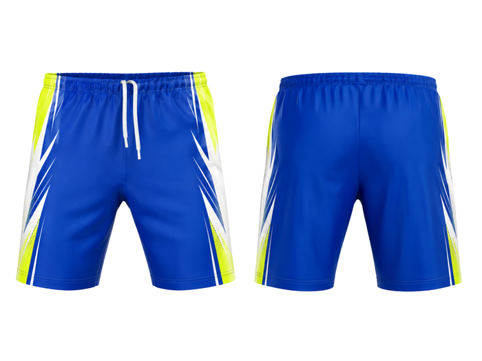 TEAM HANDBALL SHORTS