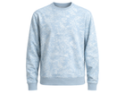 Front design view