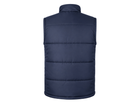 Back design view