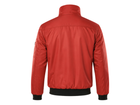 Back design view