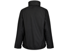Back design view