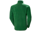 Back design view