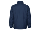Back design view