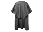 Back design view