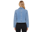 Back design view