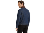 Back design view