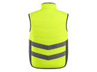 Back design view