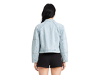 Back design view