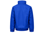 Back design view