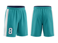Custom Aqua Basketball Embroidered Shorts – Wholesale Polyester Teamwear