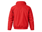 Back design view