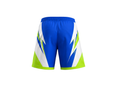 Blue & Lime Soccer Shorts – Wholesale Performance Shorts, Customizable Low MOQ, Bulk Orders