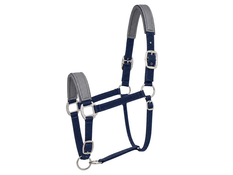 Horse Halter – Navy Blue and Grey | B2B Low MOQ