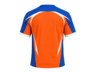 Back design view