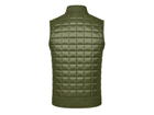 Back design view