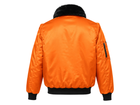 Back design view