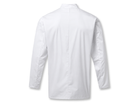 Back design view