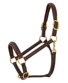 Horse Halter – Dark Brown and Gold | B2B Low MOQ