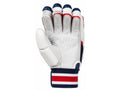 Custom White Navy Red Cricket Batting Gloves – Wholesale Team Cricket Gear