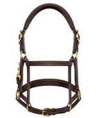 Horse Halter – Dark Brown and Gold | B2B Low MOQ