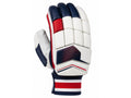 Custom White Navy Red Cricket Batting Gloves – Wholesale Team Cricket Gear