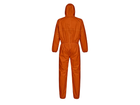 Back design view