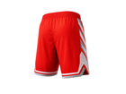 Back design view