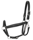 Horse Halter – Black and Silver | B2B Low MOQ