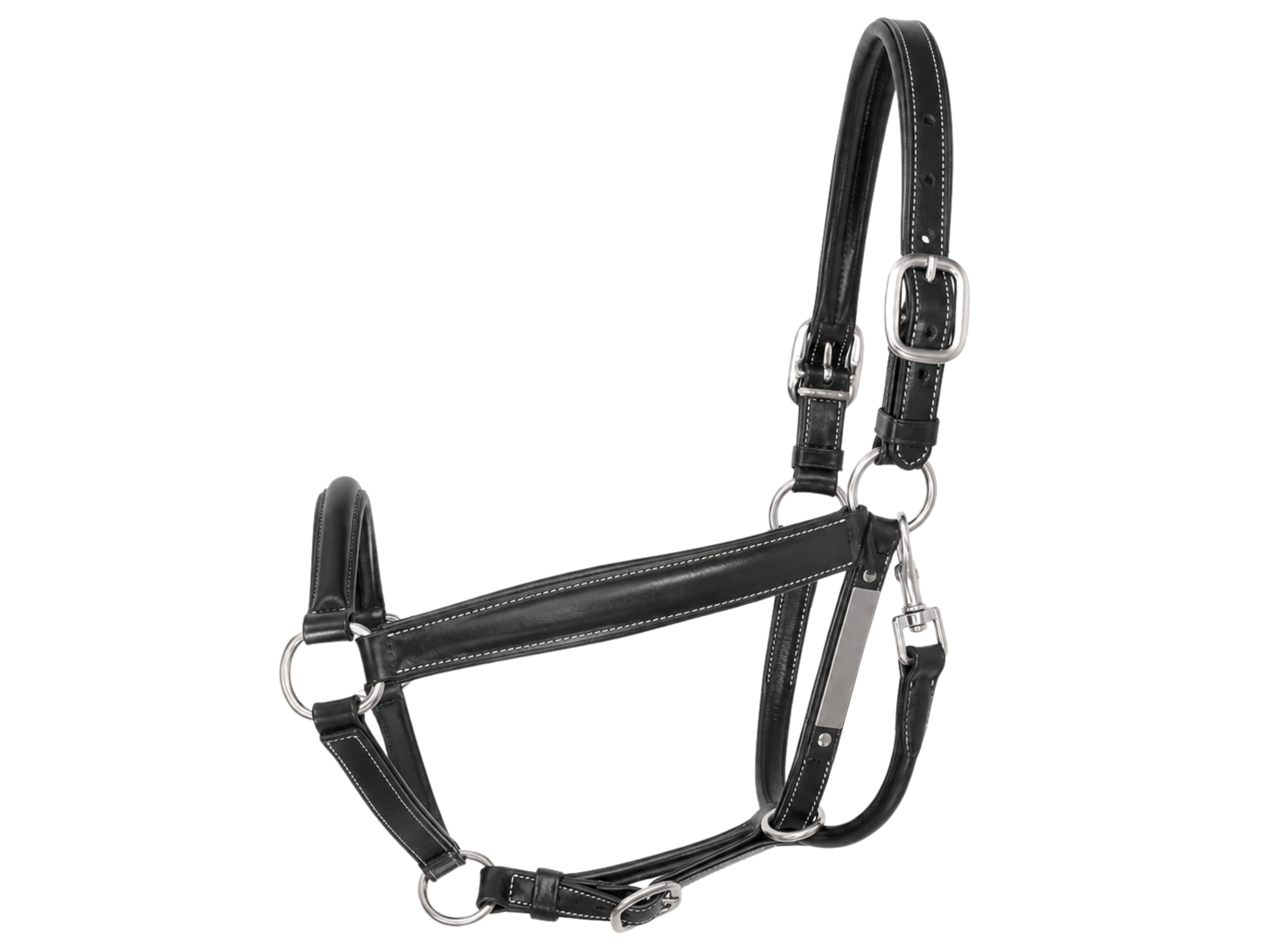 Horse Halter – Black and Silver | B2B Low MOQ