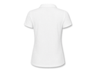 Back design view