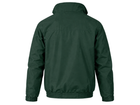 Back design view
