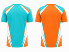 Back design view
