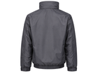 Back design view