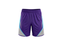 Custom Purple Cricket Shorts – Silver Teal Team Training Shorts