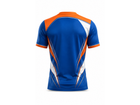 Back design view