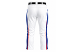 Back design view