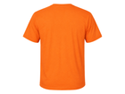 Back design view