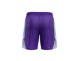 Custom Purple Cricket Shorts – Silver Teal Team Training Shorts
