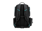 Back design view