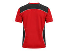 Back design view